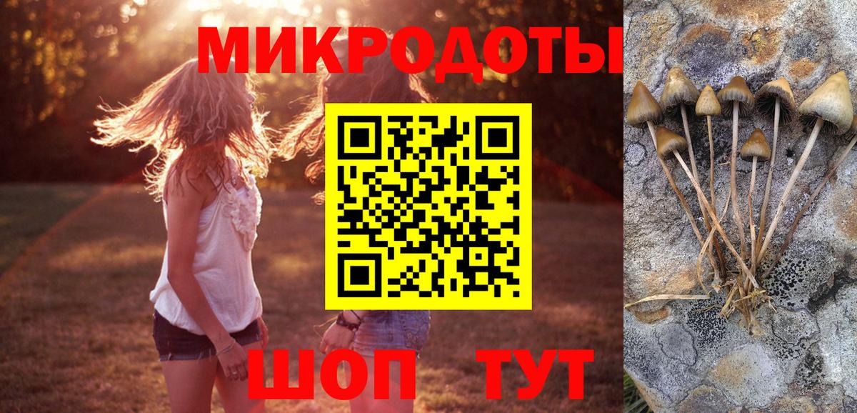 как найти   Галлюциногенные грибы мицелий  Вход с VPN  Королёв 